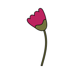 cute flower carden isolated icon vector illustration design