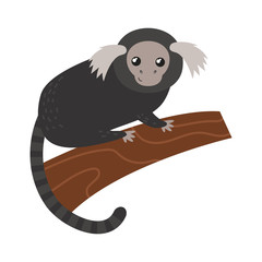 Capuchin monkey rare animal vector.