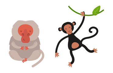 Different types of monkeys rare animal vector set.