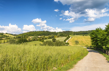 Beautiful landscape and hills in Tuscany, Italy