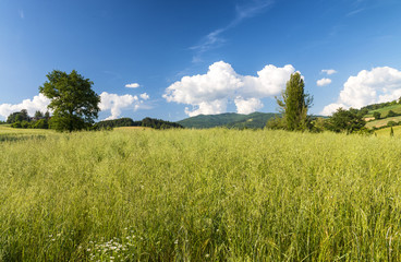 Fototapeta premium Tuscany, Italy. Rural sunset landscape. Countryside meadows, green field, sun light and clouds