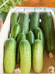 Fresh and organic cucumber in wooden basket at farmers market