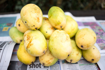       +Philippines yellow mango