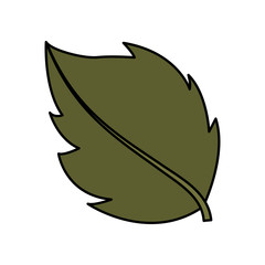 leafs plant natural icon vector illustration design