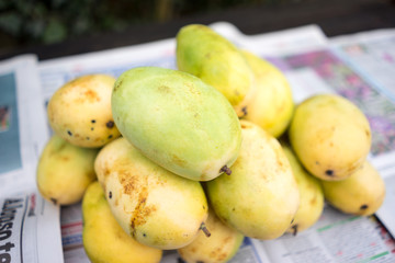       +Philippines yellow mango