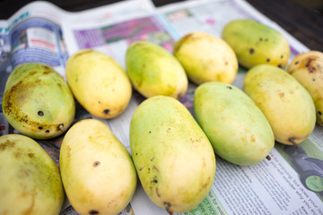       +Philippines yellow mango