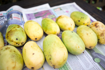       +Philippines yellow mango