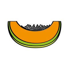 papaya fresh fruit drawing icon vector illustration design