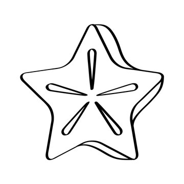 carambolo fresh fruit drawing icon vector illustration design