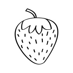 strawberry fresh fruit drawing icon vector illustration design