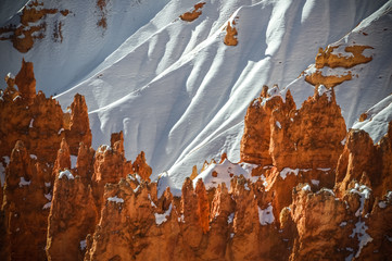 Bryce Canyon Detail