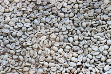 defected coffee seeds