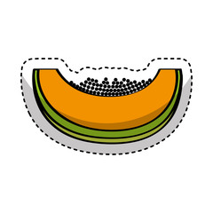 papaya fresh fruit drawing icon vector illustration design