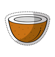 coconut fresh fruit drawing icon vector illustration design