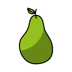 pear fresh fruit drawing icon vector illustration design