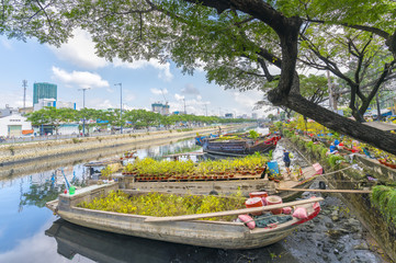Obraz premium Ho Chi Minh City, Vietnam - January 26, 2017: Flowers boats at flower market on along canal wharf. This is place where farmers sell apricot blossom and other flowers on Lunar New Year in Vietnam