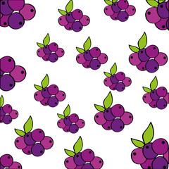 grapes pattern fresh fruit drawing icon vector illustration design