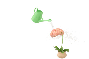 Watering pots sprinkle water to plants and brain.3D illustration.