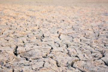 crack dry background, concept drought