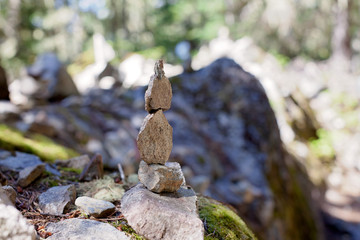 Stones in the forest