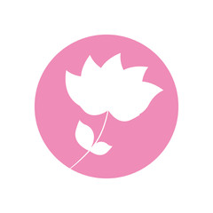 flower nature icon vector illusration eps 10