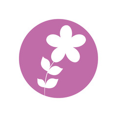 flower botanical natural icon vector illusration eps 10