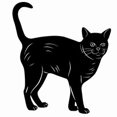 illustration of a cat, vector draw