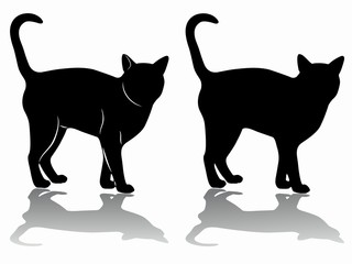 silhouette of a cat, vector draw