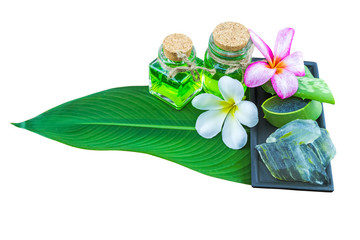 Slice Aloe Vera (Aloe barbadensis Mill.,Star cactus,  Aloin, Jafferabad or Barbados)  white frangipani flowers  and Aloe vera essential oil in green leaf on white.Saved with clipping path.