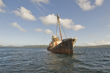 Albany harbour wreck