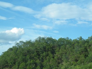 Fototapeta na wymiar Tropical landscape over jungle and blue sky.