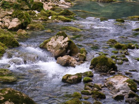 Mountain stream. Water river and nature.