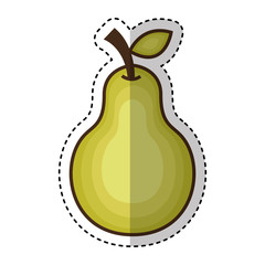 pear fresh fruit drawing icon vector illustration design