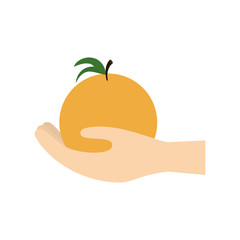 hand holding orange fruit vector illustration eps 10