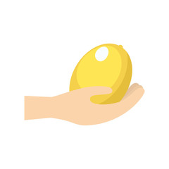 hand holding lemon fruit vector illustration eps 10