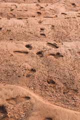 Sand texture. Sandy beach for background.