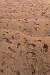 Sand texture. Sandy beach for background.