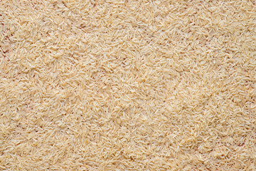 Rice grain on top