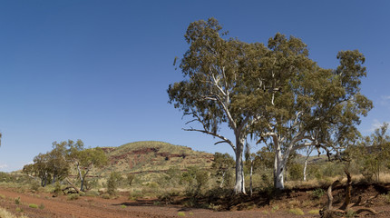 Fototapeta na wymiar Pilbara landscapes