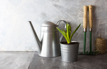 garden tools watering can flower pot