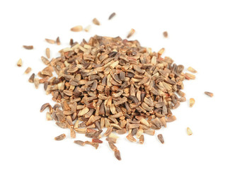 Chicory Seeds Isolated on White