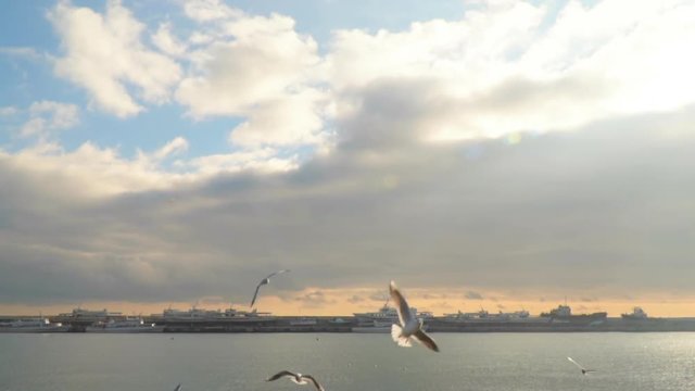 Against the background of the sky with clouds, seagulls fly. Slow motion,high speed camera