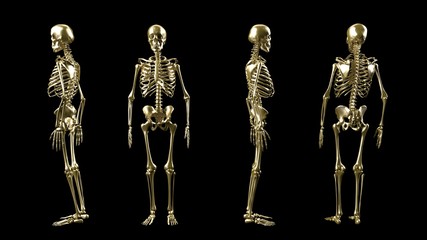 Golden 3D skeleton isolated