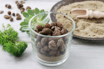 How to make lovely present for wedding guests with tiny glass container, sand and succulent plant.