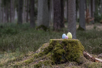 Osterdekoration im Wald