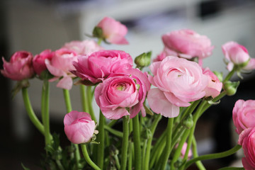 flower inside the house