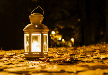 Lantern in autumn park. Beautiful evening lights. © agneskantaruk