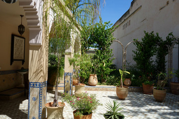 Morocco garden