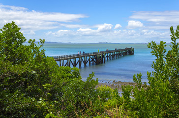 Cornwallis Beach Auckland New Zealand; Regional Park