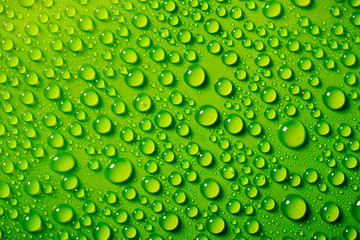 water drops on green background
